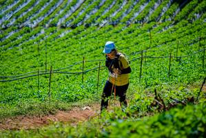 BIB: 
                            <button type="button" onclick="openModal(19164666)" class="btn btn-primary btn-sm float-right btn-popup" data-toggle="modal" data-target=".modal-high-quality">
                        <i class="fas fa-shopping-cart"></i> Add to Cart
                    </button>
                                            <button type="button" onclick="isThisMe(19164666, true)" class="btn btn-success btn-sm float-right btn-popup btn-isme hidden" data-toggle="tooltip" data-placement="bottom" title="นี่คือรูปของคุณใช่ไหม คลิกที่นี่เพื่อเอาเข้าอัลบั้ม">
                        <i class="fas fa-plus"></i> Add to album
                    </button>
                    <button type="button" onclick="isThisMe(19164666, false)" class="btn btn-warning btn-sm float-right btn-popup btn-isnotme hidden">
                        <i class="fas fa-ban"></i> Remove from album
                    </button>